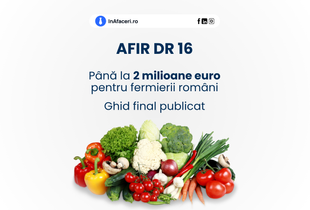 AFIR DR 16 - Ghid final publicat