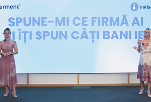 Spune-mi ce firmă ai și îți spun câți bani iei