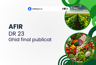AFIR: DR 23 - Ghid final publicat