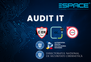 Audit IT - obligatoriu pentru digitalizare în fonduri europene