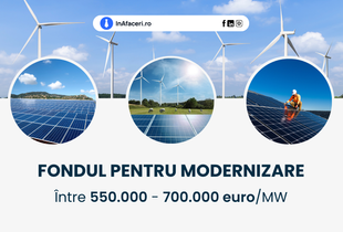 Fondul pentru Modernizare: Între 550.000 - 700.000 euro/MW pentru întreprinderile din sectorul agricol și al industriei alimentare