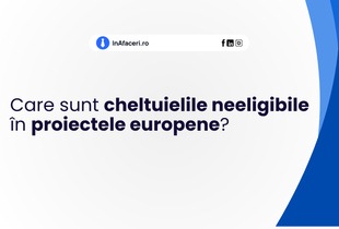 Care sunt cheltuielile neeligibile în proiectele europene?