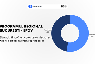 Programul Regional București-Ilfov: Situația finală a proiectelor depuse în cadrul apelului dedicat microîntreprinderilor