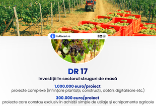 A fost lansat în consultare publică ghidul pentru intervenția DR 17 - Investiții în sectorul struguri de masă