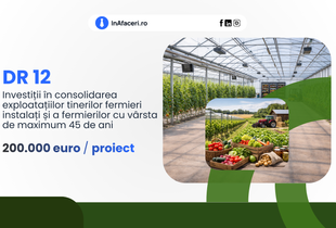 DR 12 - Investiții în consolidarea exploatațiilor tinerilor fermieri instalați și a fermierilor cu vârsta de maximum 45 de ani