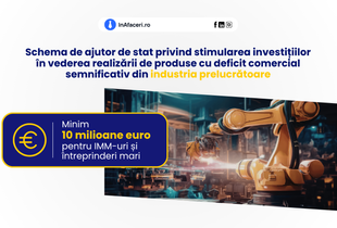 Schema de ajutor de stat privind stimularea investițiilor în vederea realizării de produse cu deficit comercial semnificativ din industria prelucrătoare